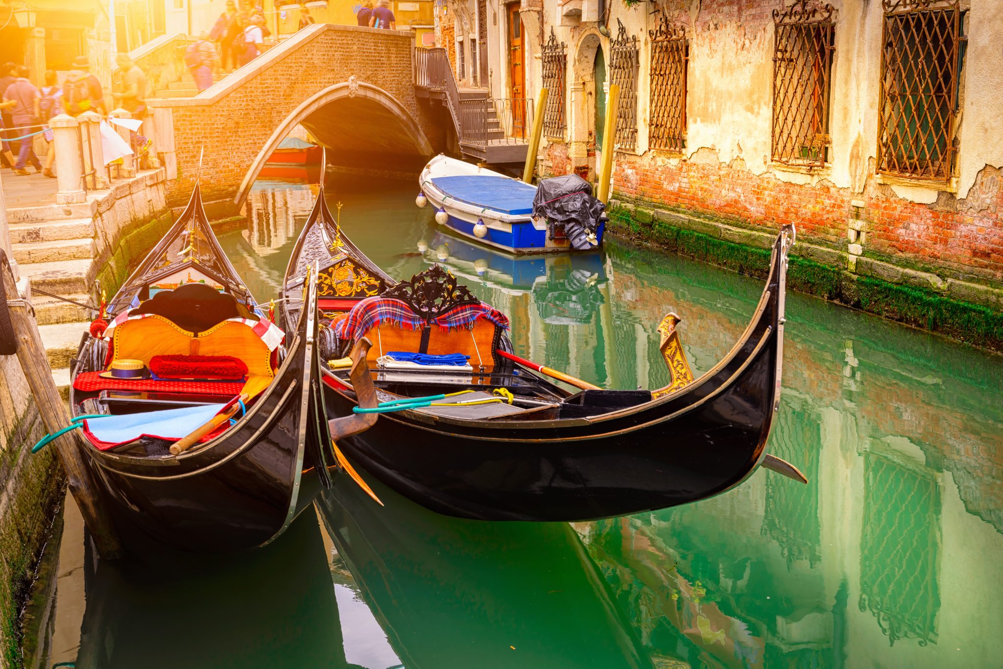 CORA 2025 Get Around Venice