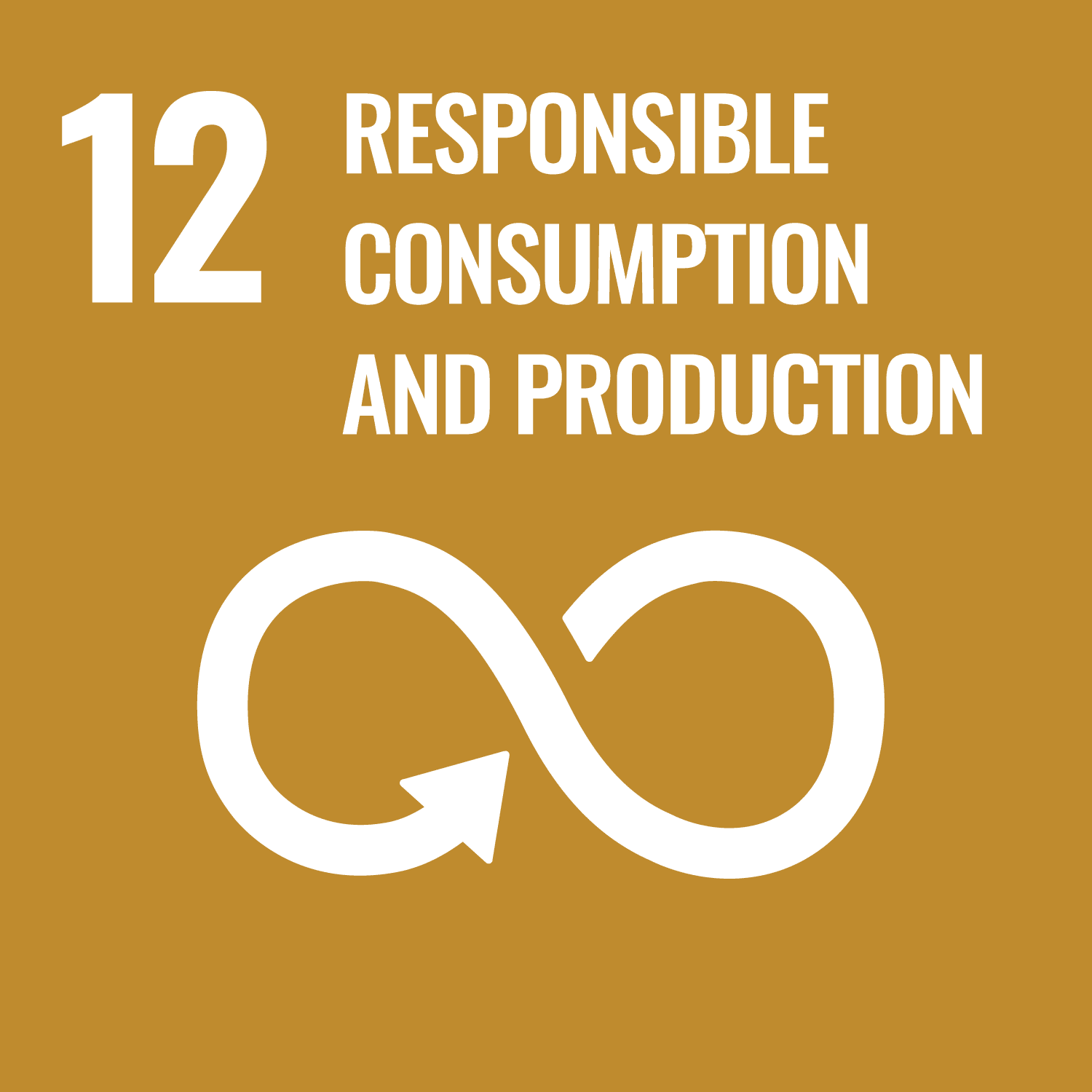 Sustainable Development Goal 12 Icon - Responsible Consumption and Production